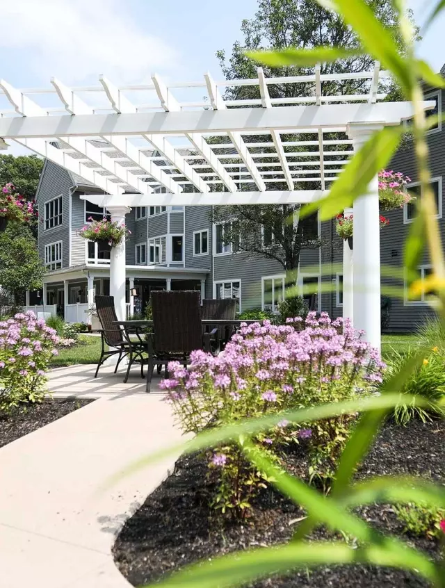 Outdoor patio and garden
